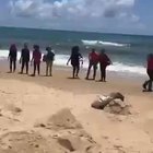 Óleo no Nordeste: tropas da Marinha e Exército chegam para ajudar a limpar praia em Pernambuco que já estava sendo limpa por voluntários e pedem que voluntários saiam da praia, para que a imprensa possa registrar apenas os soldados limpando
