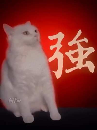 Avatar Intro but with Animals