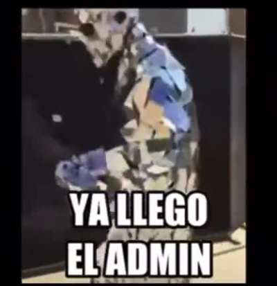 Admin llegando