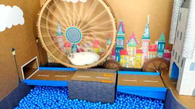 Hamster Engineer 2.0
