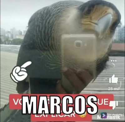 Marcos (guru's song The legend of zelda Majora's Mask