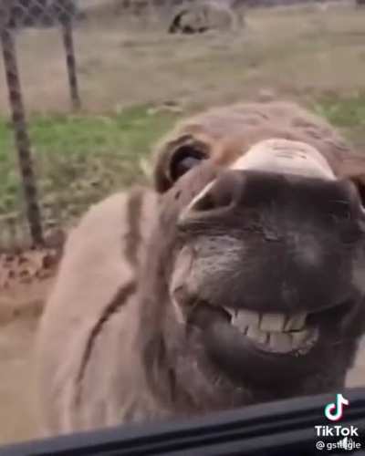 Hey check me out