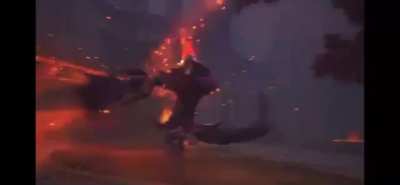 Die.