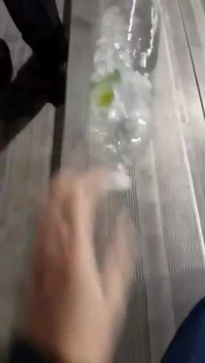 The Infamous Flip