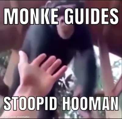 Much love for monke