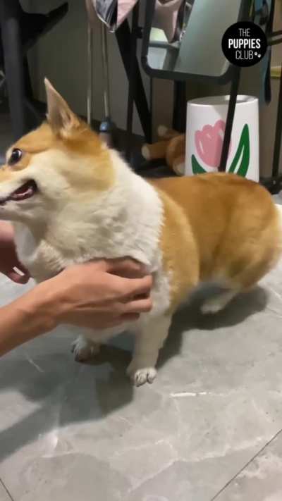 That's the spot!
