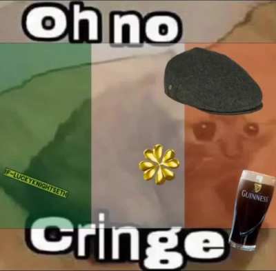 🇮🇪
