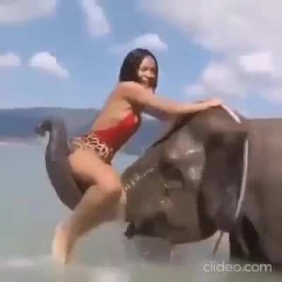 elephant just having some fun