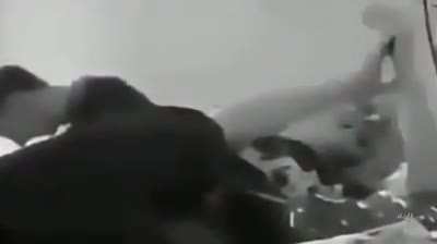Hola banda