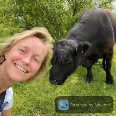 WCGW Belgian alderwoman taking selfie with a cow