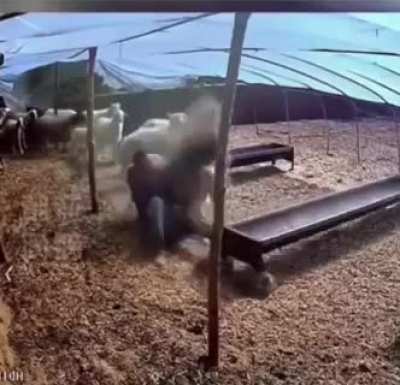 If you hate your job always remember this poor dude.