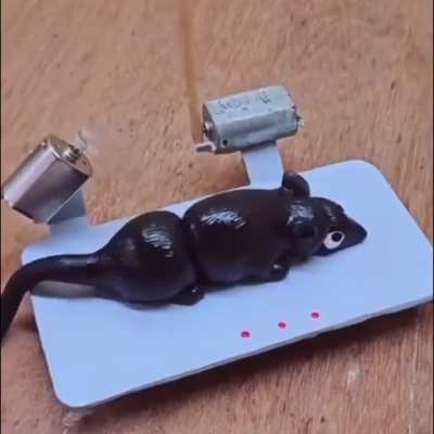 Just a Regular Rat Tr-
