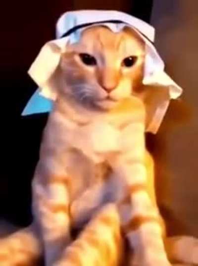 auspicious hijab. +35% increased cash on kill, +20% increased item drop chance, +15% speed, projectile attacks have a chance to crit, +10% ranged attack vulnerability, -5% speed, -25% healing