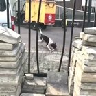 Think before you leap