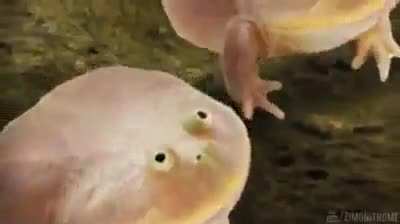 My dudes!