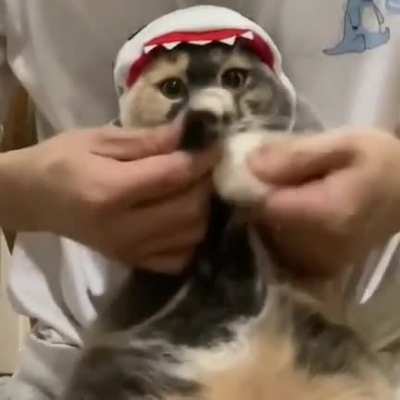 🕺🕺🕺