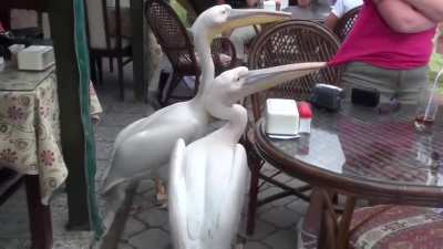 Under attack and filmed by at least two people