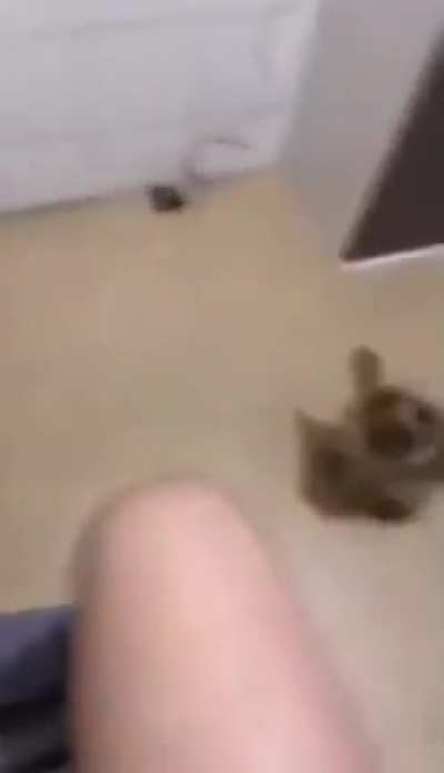 I'm sorry little one