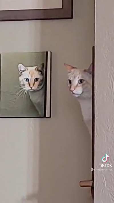 The pawphecy has been fulfilled