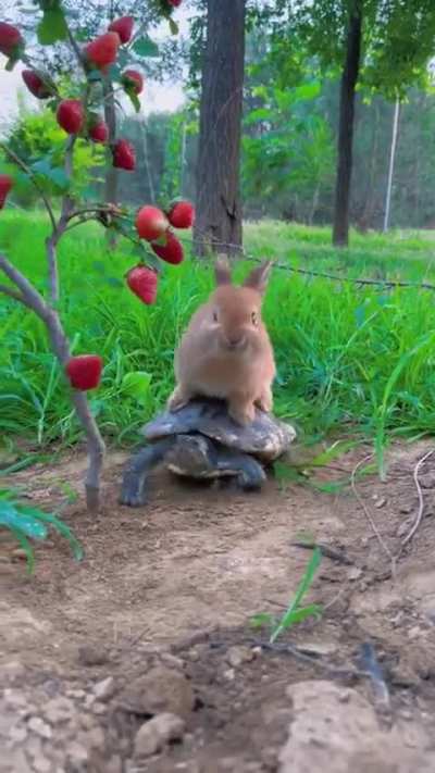 So cute 😭