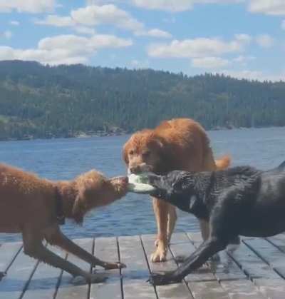 Mexican standoff