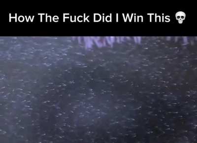 Speed run