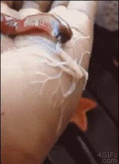 You all wanna hold my ribbon worm?