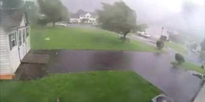 Wind causing havoc.