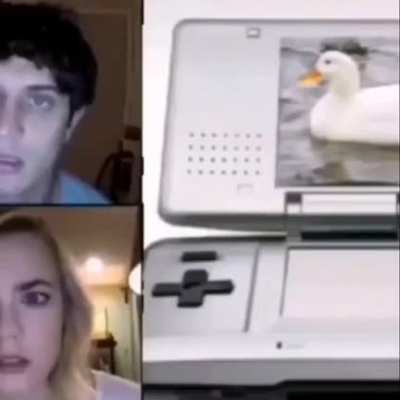 Patito cuack cuack