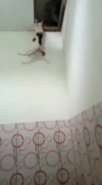 something on the attic