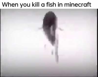 I made a meme