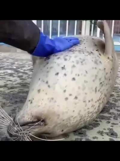 kind hooman, am just tryna lose weight