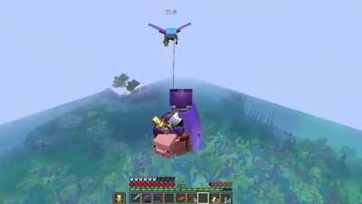 This exists in vanilla survival. Elytra ride sharing.
