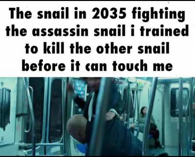 My Snail wins