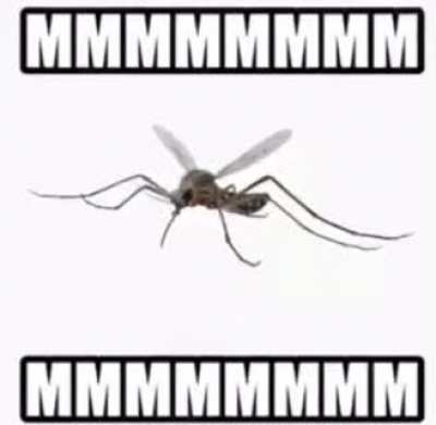 MMMMMMMMMMMM