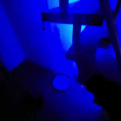 So, my roommate bought LEDs for stairs that lead to my bedroom. He didnt know that they are sound activated and that volume down button on TV receiver activates it too. Now, i woke up 5AM for a job and though i was tripping balls walking down...