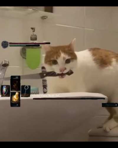 He appears