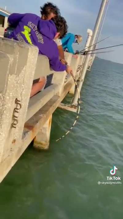Guy catches a sea monster from under the bridge