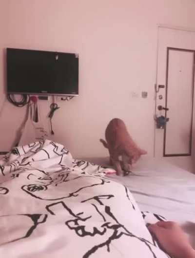 Ne güzel attı lan