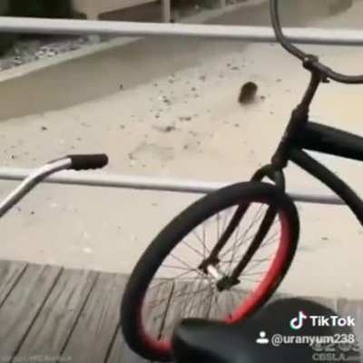 Bilimsel deneyimi tamamladım cidden doğruymuş aga