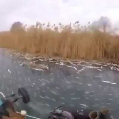 Russian Mariokart is best Mariokart