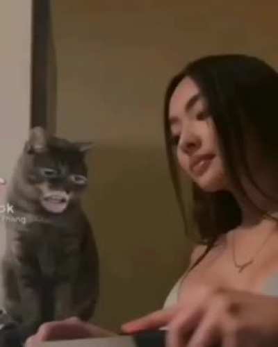 Meow - WunKey 03