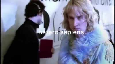 Only hetero