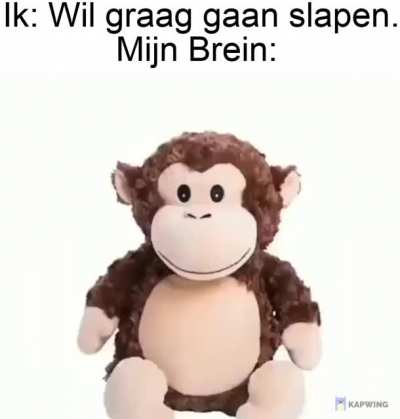 Ik💤IHE