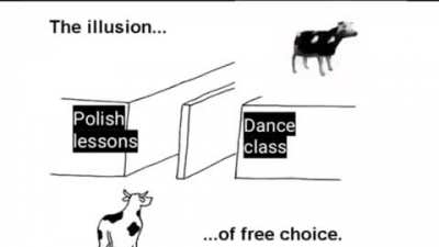 Yes