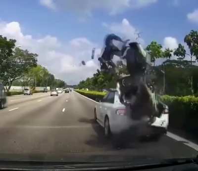 Nice driving skills