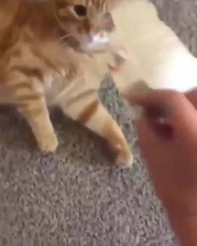 its you