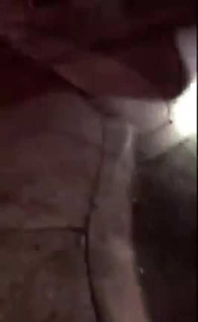 Jackbooted criminal 