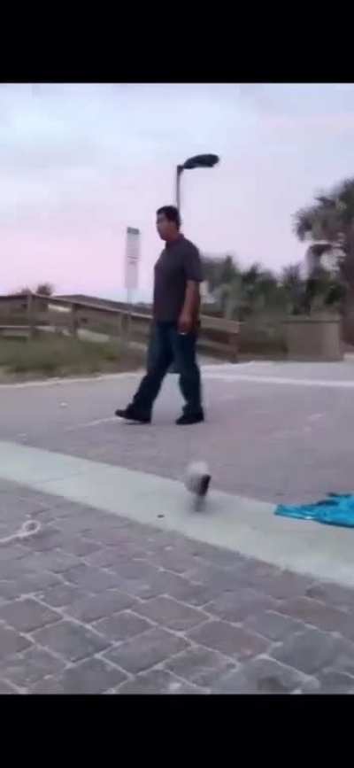 Thought this fitted here