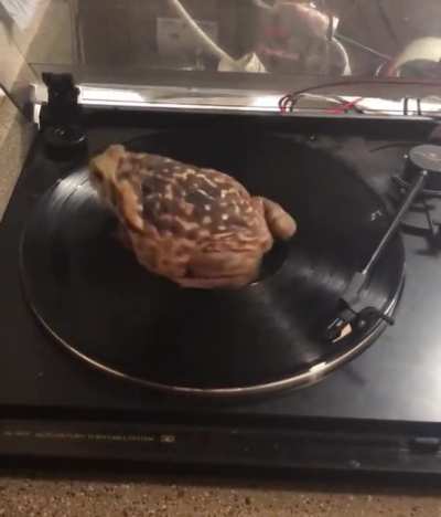 Video not mine. Just added the music lol.